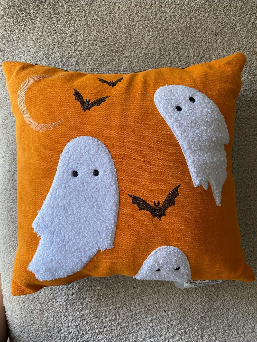 Halloween Ghost Bats Moon Pillow
